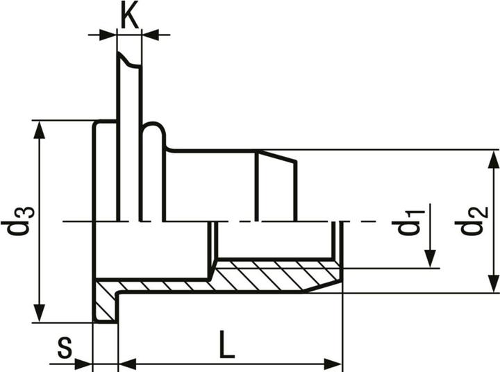 Immagine prodotto Werkstarck Dadi a rivetto testa piatta BN 1971 TUBTARA®