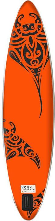 Actual product image VidaXL Noe (10')