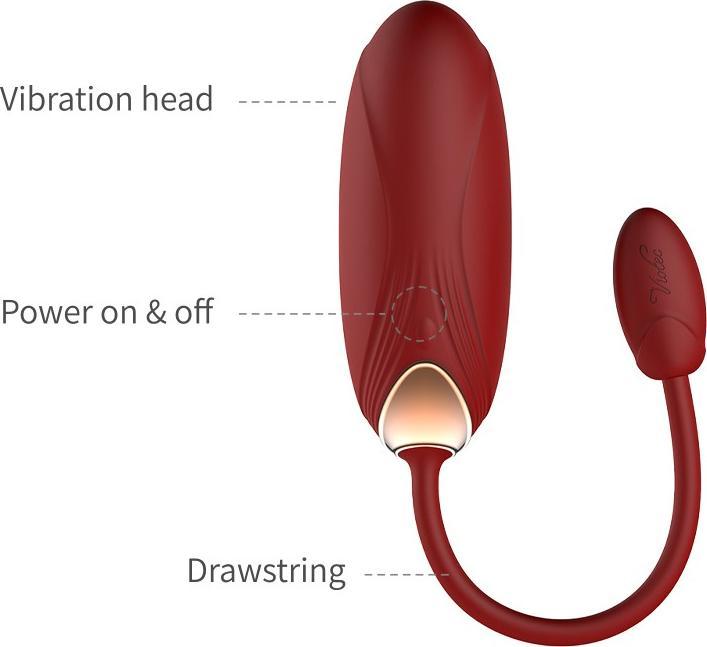 Image du produit Viotec Oliver Pro Vibrateur portable avec contrôle par application