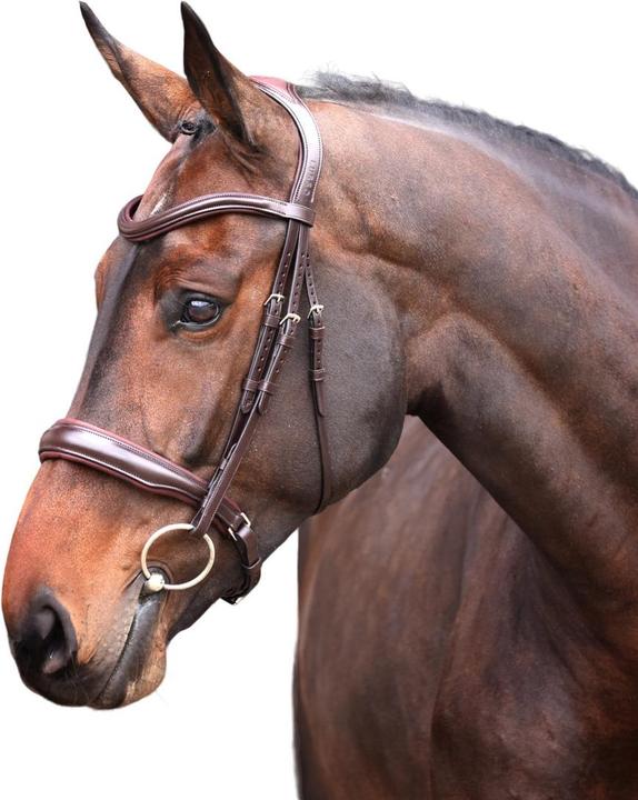 Produktbild Velociti CavessonZaum Elite Leder