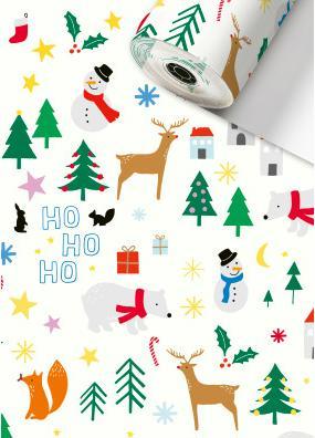 Image du produit Stewo SÉCARÉ - Rouleau de papier cadeau (Papier cadeau, 1 x)