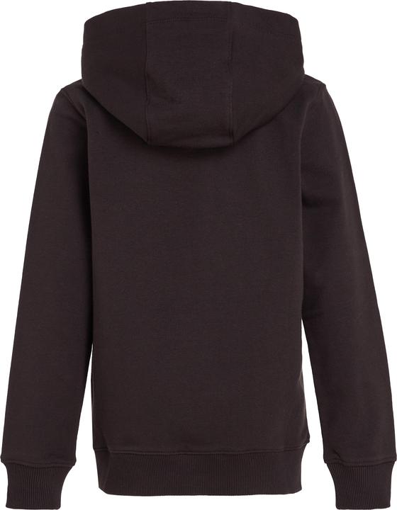Actual product image Tommy Hilfiger Essential Hoodie (74)