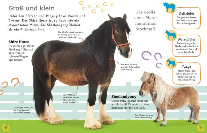 Immagine prodotto Pferde und Ponys (Tedesco, DK Verlag - Bambini, 2019)