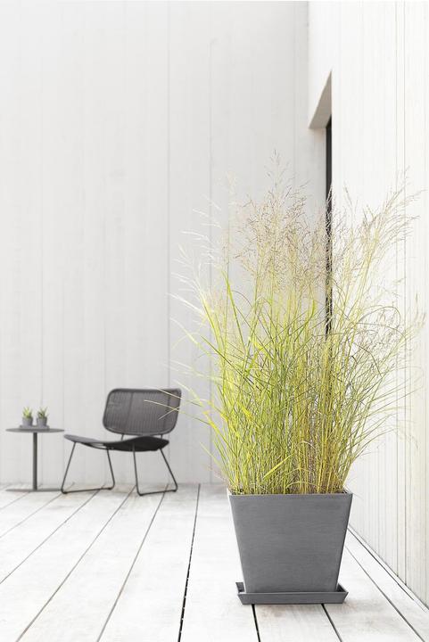 Produktbild Ecopots Rotterdam (40 cm)