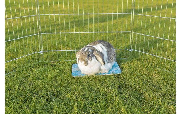 Actual product image Trixie Cooling plate for guinea pig