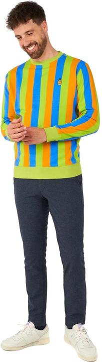 Actual product image OppoSuits – Sesamstrasse Bert Pullover (XXL)