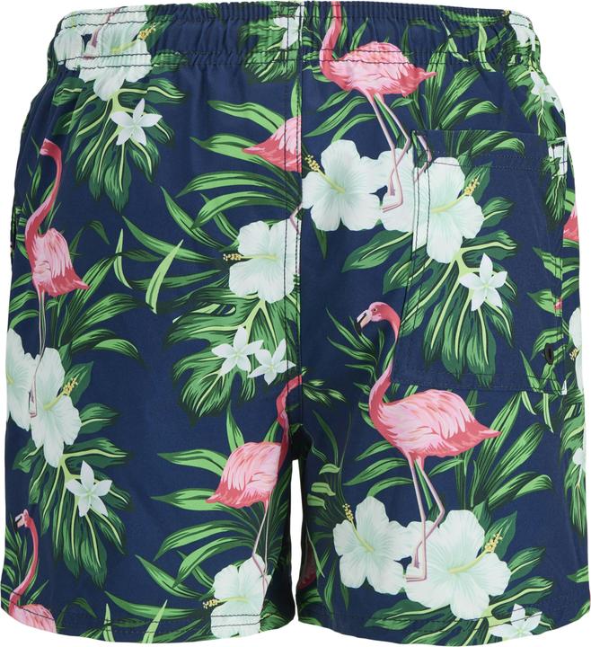 Image du produit Jack & Jones Badeshort JNR (152)