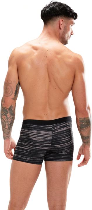 Image du produit Speedo Valmilton Aquashort (34)