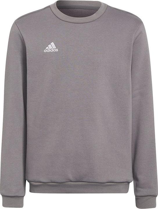 Immagine prodotto adidas Entrada 22 felpa bambini (164)