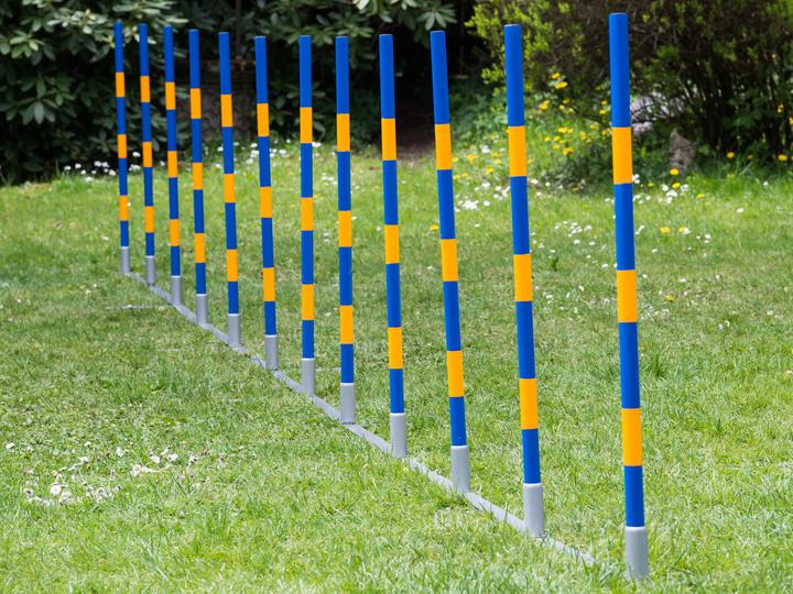 Actual product image Petcenter Professional agility slalom (One size, Agility)