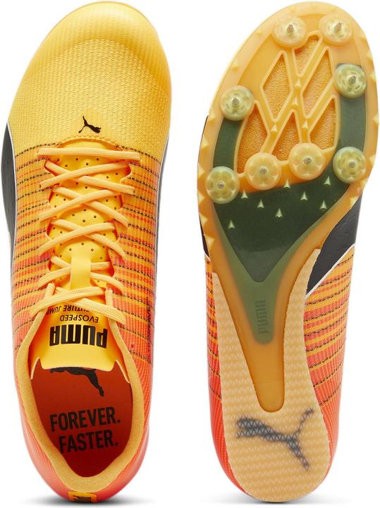 Produktbild Puma evoSPEED FUTURE JUMP 6 (47.5)