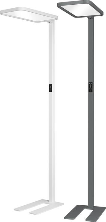 Immagine prodotto Hansa Lampada da pavimento LED Saphir Plus (11000 lm)