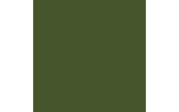Image du produit Amsterdam Peinture acrylique Standard Series (Vert olive foncé foncé, 120 ml)