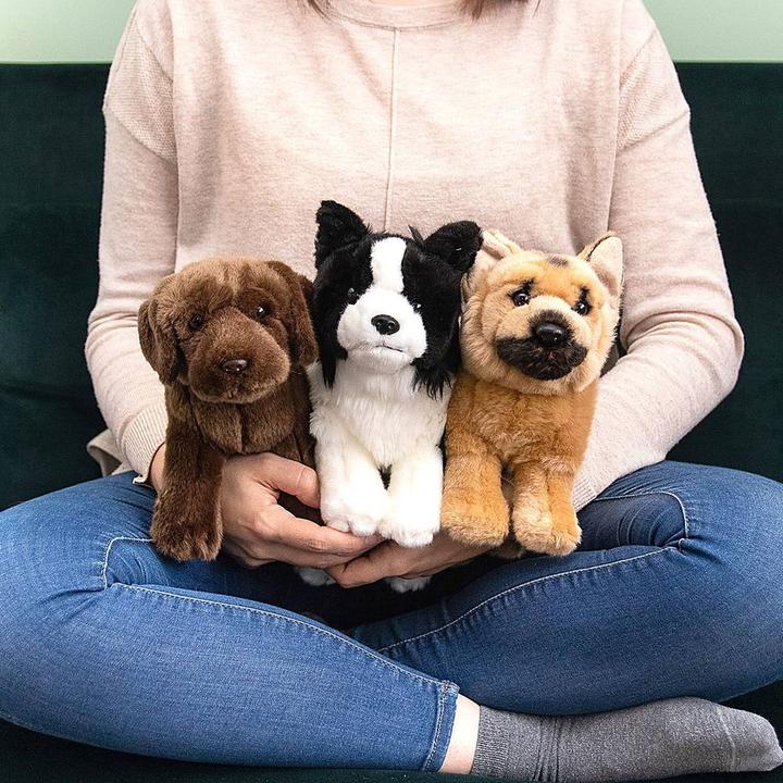 Immagine prodotto Living Nature Labrador al cioccolato (20 cm)