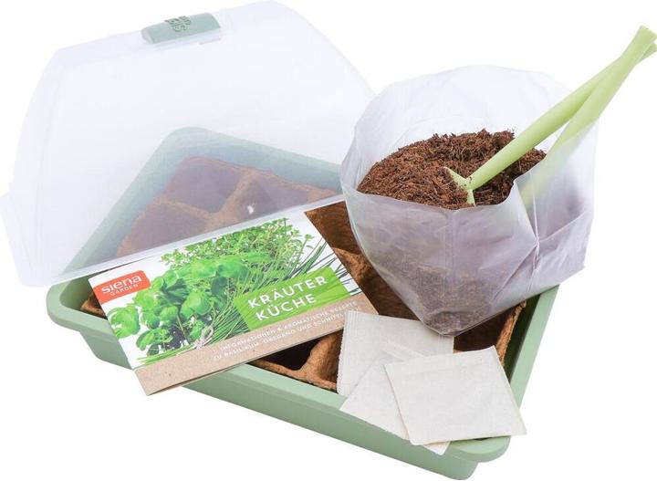 Image du produit Siena Garden Propagateur