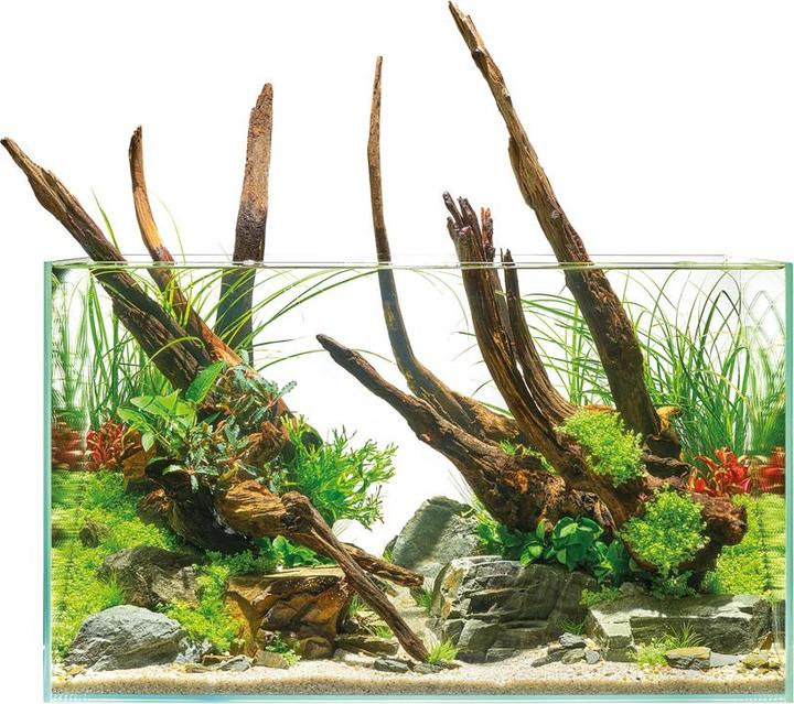 Image du produit Oase Aquarium ScaperLine 100, 250 l (250 l)
