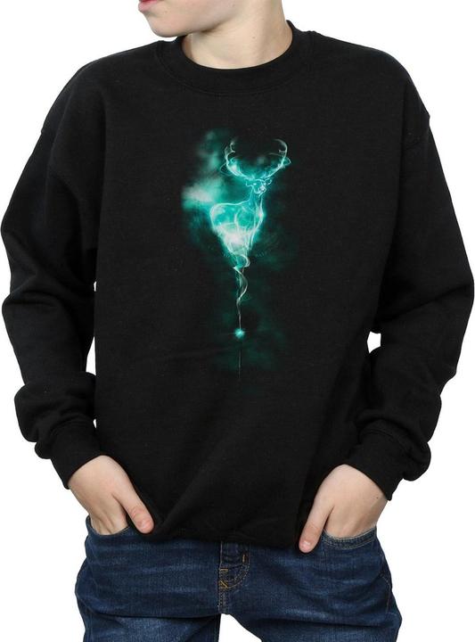 Immagine prodotto Felpa da ragazzo Patronus Mist (128)