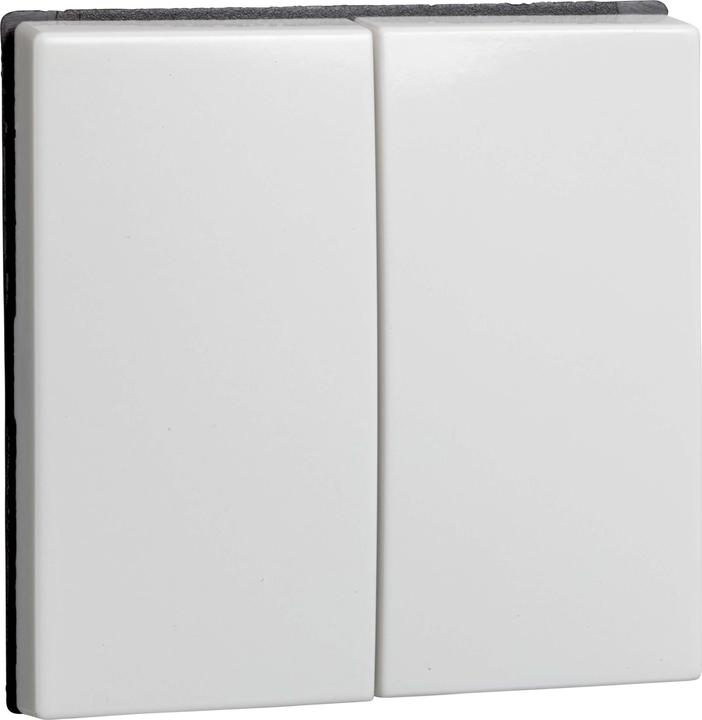Produktbild ELSO Joy Wippe Serien 273504 Doppel-Taster reinweiss