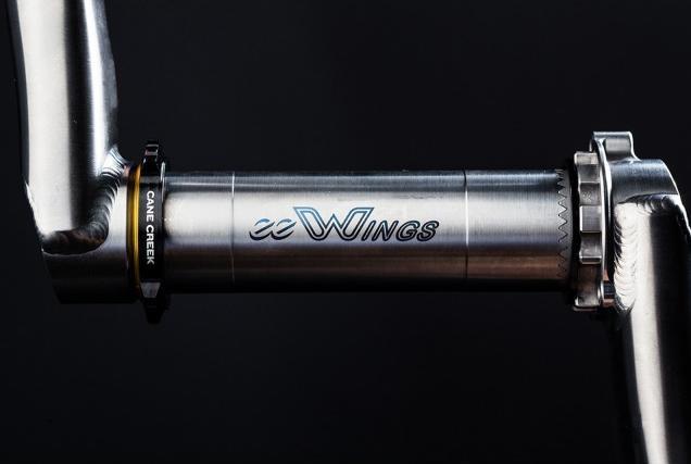 Image du produit Cane Creek eeWings (175 mm)