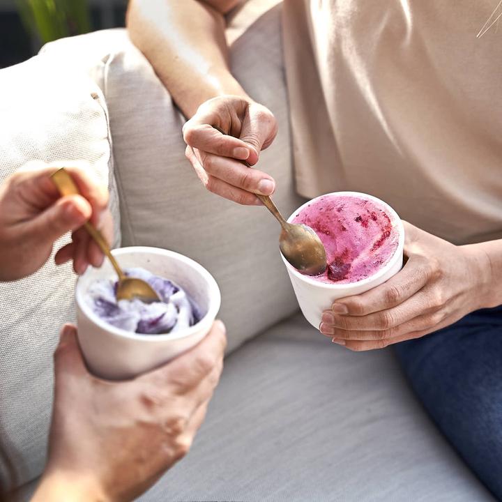Actual product image Springlane Ice cream containers for ice cream