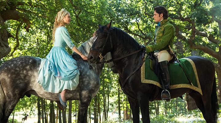 Actual product image Cinderella LA (DVD, 2014, German, English, Italian, Turkish)