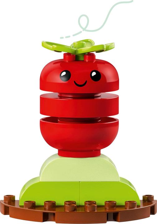 Actual product image LEGO Organic garden (10984)
