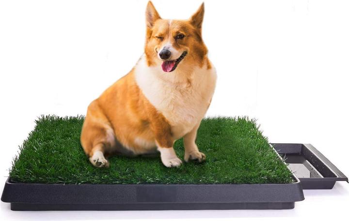 Produktbild Sailnovo Hundeklo (Hund)