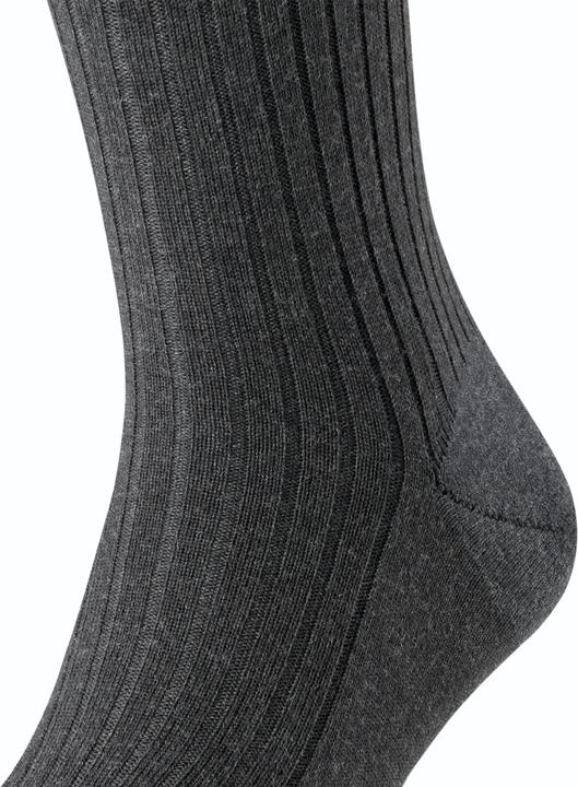 Produktbild Falke Bristol Pure KH (45 - 46)