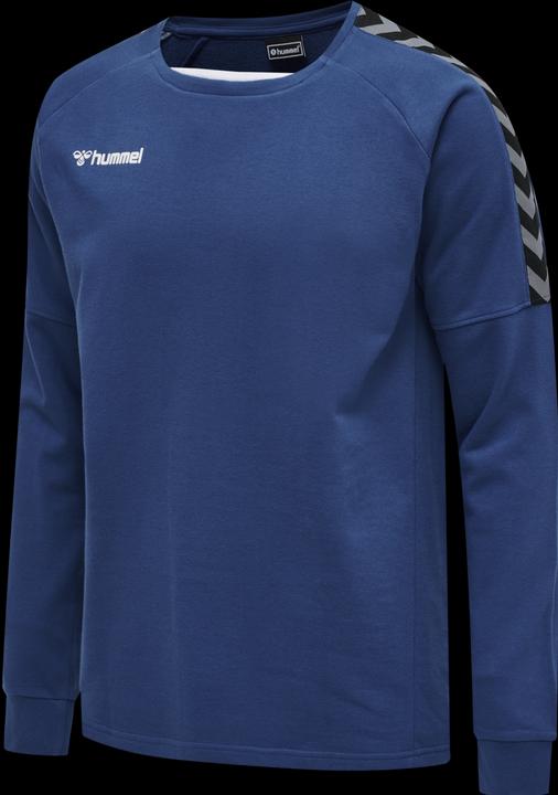 Image du produit hummel Sweat D'Entraînement Authentique (S)