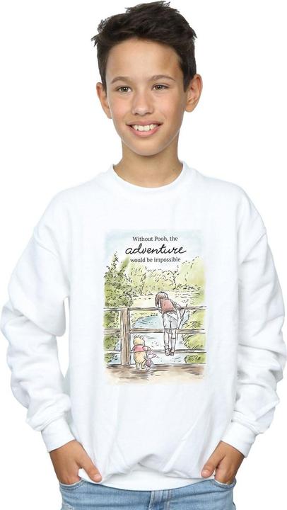 Actual product image Disney Boys Winnie The Pooh Adventure Sweatshirt (128)