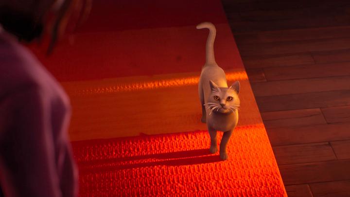 Produktbild Square Enix Life is Strange: Double Exposure (PS5, IT)