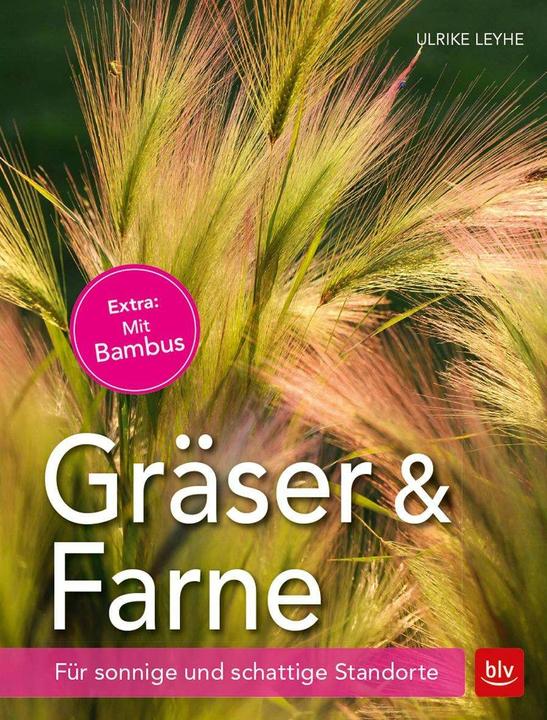 Immagine prodotto Gräser und Farne (Tedesco, Ulrike Leyhe, 2017)