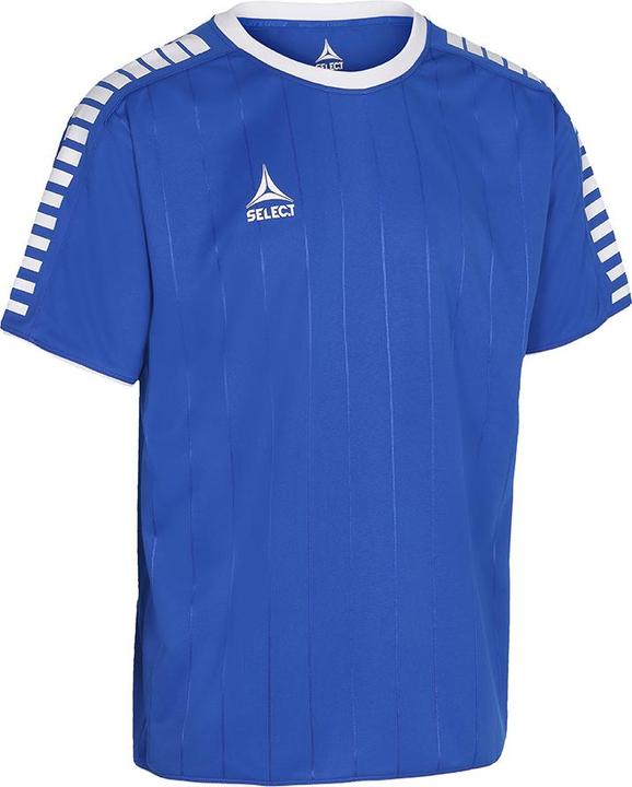 bleu et blanc