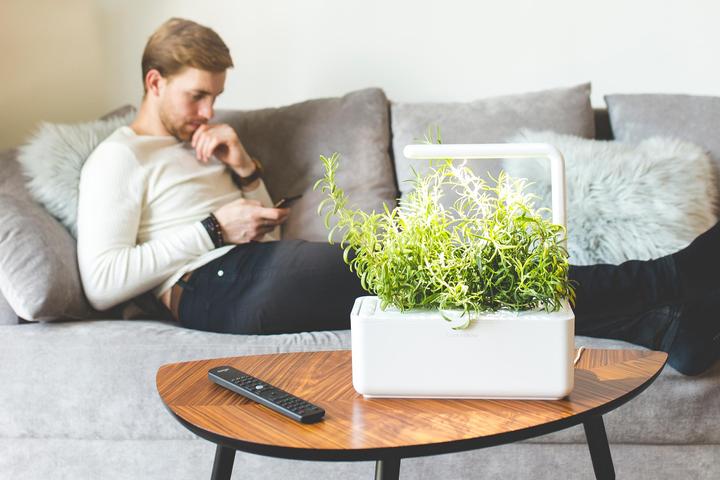 Produktbild Click and Grow Smart Garden (31.50 cm)