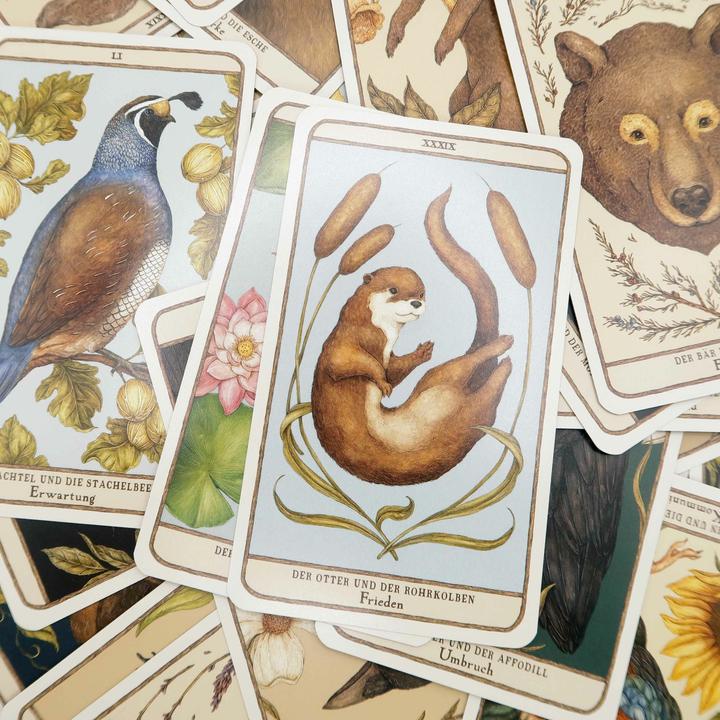 Produktbild Woodland Wardens: 52 Orakelkarten mit Booklet (Deutsch, Jessica Roux, 2023)