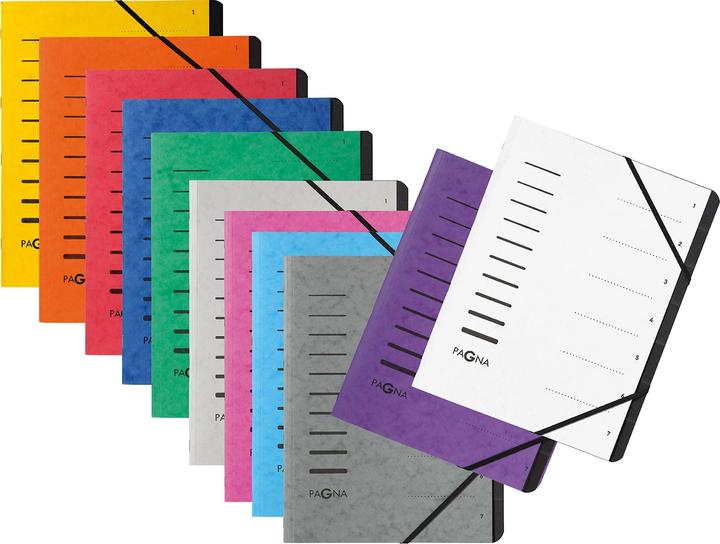 Immagine prodotto Pagna 40058-10 Registro a schede Melanzana (A4, 1 x)