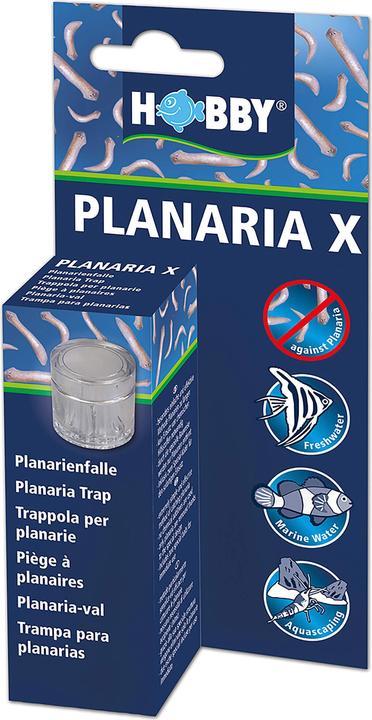 Produktbild Hobby Planarienfalle (Aquarium Reinigung)