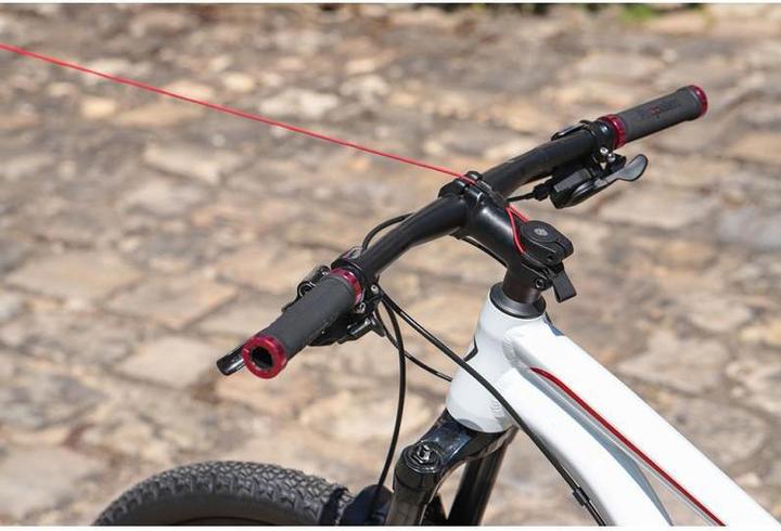 Produktbild Zefal Bike Taxi