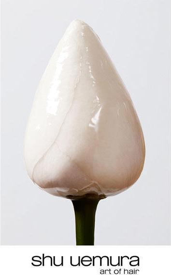 Image du produit Shu Uemura Essence Absolue Universal Balm (Crème pour le corps, 150 ml)