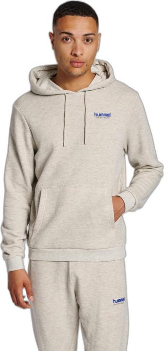 Actual product image hummel Lgc Austin Hoodie (XXL)