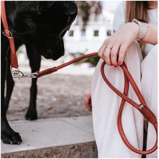 Produktbild Hunter Leine Round & Soft Canadian UP für Hunde Cognac L (L, Hund, Hundesport)