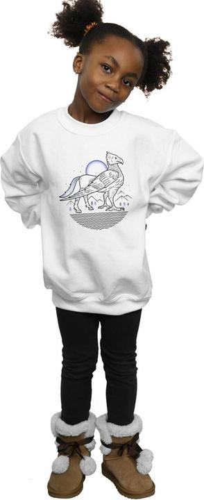 Produktbild Buckbeak Line Art Sweatshirt Mädchen (140, 146)