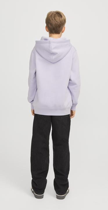 Produktbild Jack & Jones Jorvesterbro Sweat Hood Noos Jnr (176)