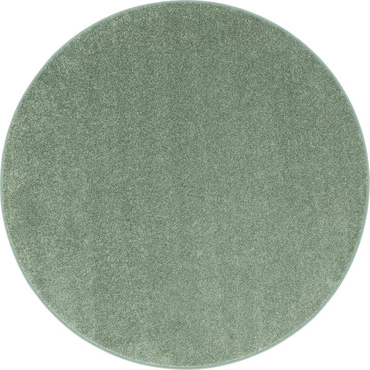 Vert menthe