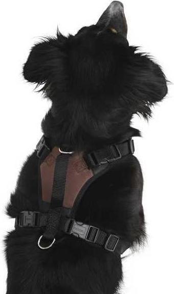 Image du produit Kerbl Pulsive (Chien, Sport canin)