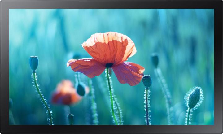 Samsung QB13R-TM (1920 x 1080 Pixel, 13")
