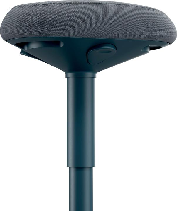 Actual product image Leitz Ergo Active