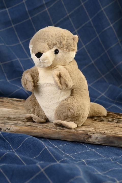 Immagine prodotto Warmies Lontre (35 cm)