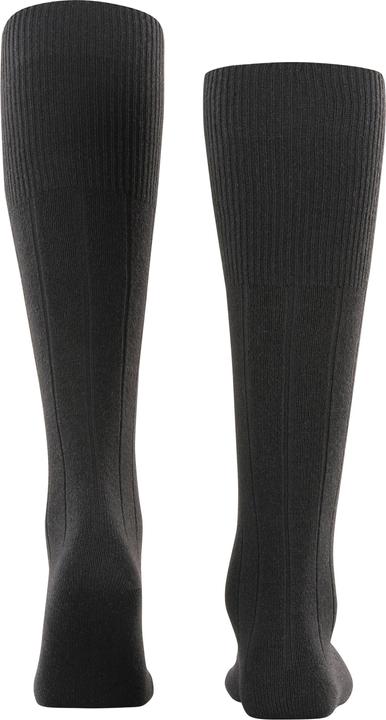 Actual product image Falke Lhasa Rib Men (39)