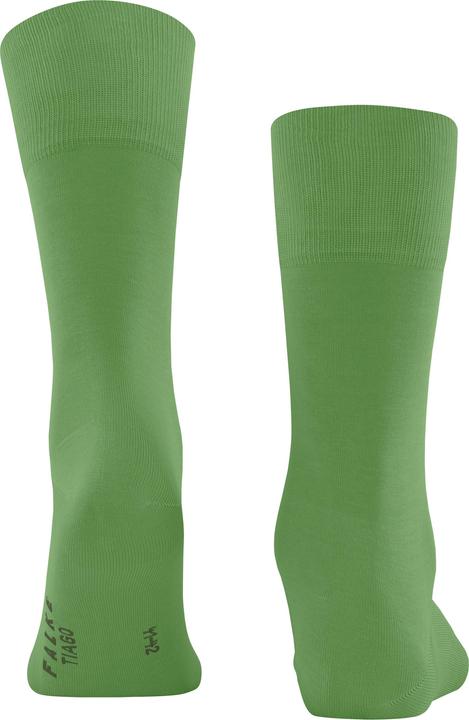 Image du produit Falke Tiago Hommes (43 - 44)